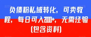 负债粉私域转化,可卖教程,每日可入2000+,无需经验(包含资料)【揭秘】-第一资源库