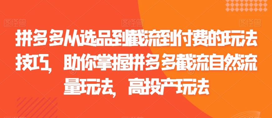 拼多多从选品到截流到付费的玩法技巧，助你掌握拼多多截流自然流量玩法，高投产玩法-第一资源库