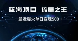 好评返现项目,稳定,小白速学月入过万【仅揭秘】-第一资源库