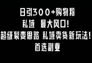 日引300+购物粉,超级裂变思路,私域卖货新玩法,小红书首选副业【揭秘】-第一资源库
