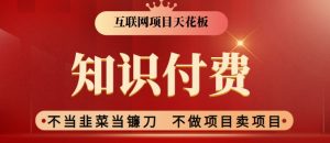 2024互联网项目天花板，新手小白也可以通过知识付费月入10W，实现财富自由【揭秘】-第一资源库