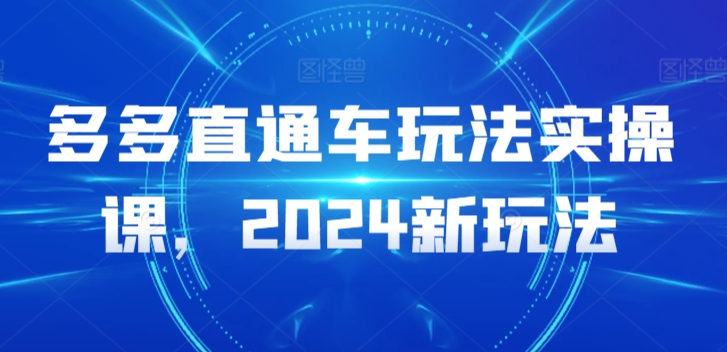 多多直通车玩法实操课,2024新玩法-第一资源库