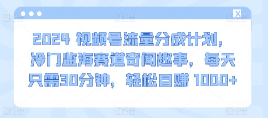 2024视频号流量分成计划,冷门监海赛道奇闻趣事,每天只需30分钟,轻松目赚 1000+【揭秘】-第一资源库