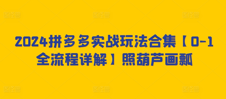 2024拼多多实战玩法合集【0-1全流程详解】照葫芦画瓢-第一资源库