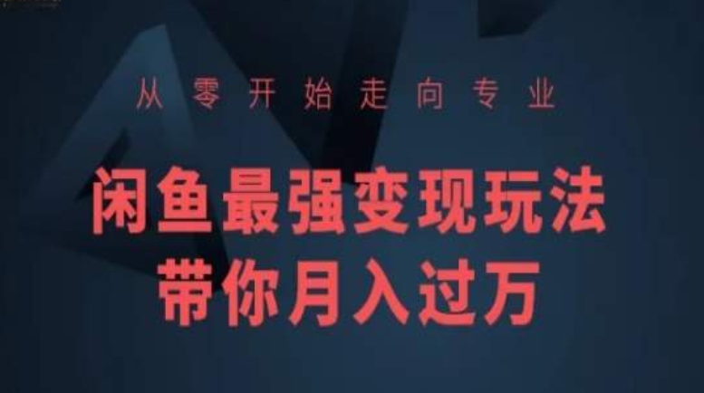 从零开始走向专业,闲鱼最强变现玩法带你月入过万-第一资源库