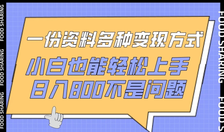 一份资料多种变现方式,小白也能轻松上手,日入800不是问题【揭秘】-第一资源库