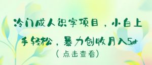 冷门成人识字项目,小白上手轻松,暴力创收月入5w+【揭秘】-第一资源库