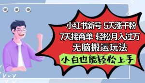 小红书影视泥巴追剧5天涨千粉,7天接商单,轻松月入过万,无脑搬运玩法【揭秘】-第一资源库