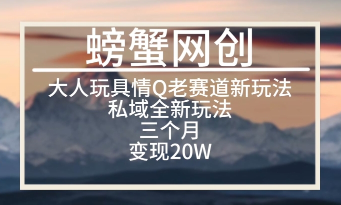 大人玩具情Q用品赛道私域全新玩法,三个月变现20W,老项目新思路【揭秘】-第一资源库