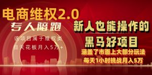 电商维权 4.0 如何做到月入 5 万+每天 1 小时新人也能快速上手【仅揭秘】-第一资源库