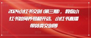 2024小红书文创(第三期),教你小红书如何养号和开店,小红书直播带货卖文创等-第一资源库