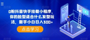 0粉抖音快手挂载小程序,你的脸型适合什么发型玩法,新手小白日入300+【揭秘】-第一资源库