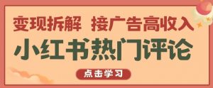 小红书热门评论，变现拆解，接广告高收入【揭秘 】-第一资源库