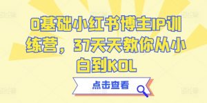 0基础小红书博主IP训练营，37天天教你从小白到KOL-第一资源库