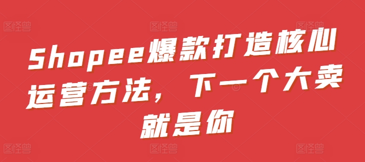 Shopee爆款打造核心运营方法,下一个大卖就是你-第一资源库