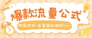 爆款流量公式,网易热评+文案轻松涨粉50w+【揭秘】-第一资源库
