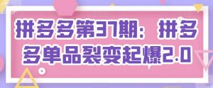 拼多多第37期：拼多多单品裂变起爆2.0-第一资源库