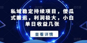 私域稳定持续项目,傻瓜式搬运,利润极大,小白单日收益几张【揭秘】-第一资源库