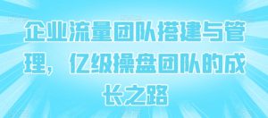 企业流量团队搭建与管理,亿级操盘团队的成长之路-第一资源库