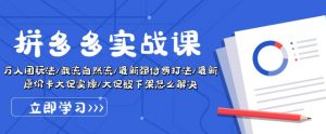 拼多多实战课:万人团玩法/截流自然流/最新强付费打法/最新原价卡大促..-第一资源库