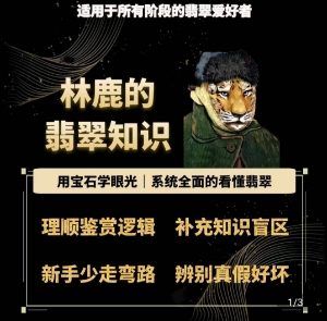 林鹿的翡翠知识,用宝石眼光,系统全面的看懂翡翠-第一资源库