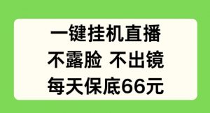 一键挂JI直播，不露脸不出境，每天保底66元【揭秘】-第一资源库