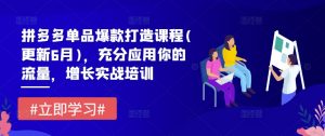 拼多多单品爆款打造课程(更新6月),充分应用你的流量,增长实战培训-第一资源库