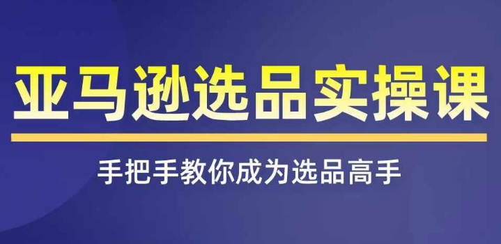 亚马逊选品实操课程,快速掌握亚马逊选品的技巧,覆盖亚马逊选品所有渠道-第一资源库