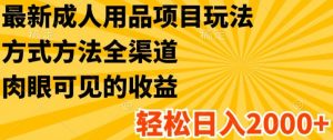 最新成人用品项目玩法，方式方法全渠道，轻松日入2K+【揭秘】-第一资源库