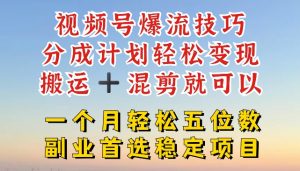 视频号爆流技巧，分成计划轻松变现，搬运 +混剪就可以，一个月轻松五位数稳定项目【揭秘】-第一资源库