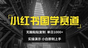 小红书国学赛道，无脑粘贴复制，单日1K，实操演示，小白即刻上手【揭秘】-第一资源库