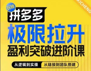 拼多多极限拉升盈利突破进阶课,从算法到玩法,从玩法到团队搭建,体系化系统性帮助商家实现利润提升-第一资源库