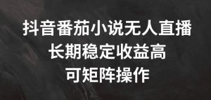 抖音番茄小说无人直播,长期稳定收益高,可矩阵操作【揭秘】-第一资源库