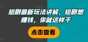 短剧最新玩法讲解,短剧想赚钱,你就这样干-第一资源库