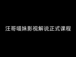 汪哥影视解说正式课程：剪映/PR教学/视解说剪辑5大黄金法则/全流程剪辑7把利器等等-第一资源库