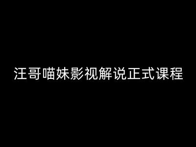 汪哥影视解说正式课程：剪映/PR教学/视解说剪辑5大黄金法则/全流程剪辑7把利器等等-第一资源库
