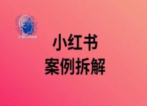 小红书案例拆解,深度解读小红书40万粉-第一资源库
