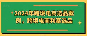 2024年跨境电商选品案例,跨境电商利基选品(更新)-第一资源库