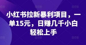 小红书拉新暴利项目，一单15元，日赚几千小白轻松上手【揭秘】-第一资源库