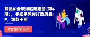 货品IP全域爆款陪跑营【第4期】,手把手教你打造货品IP,爆款不断-第一资源库