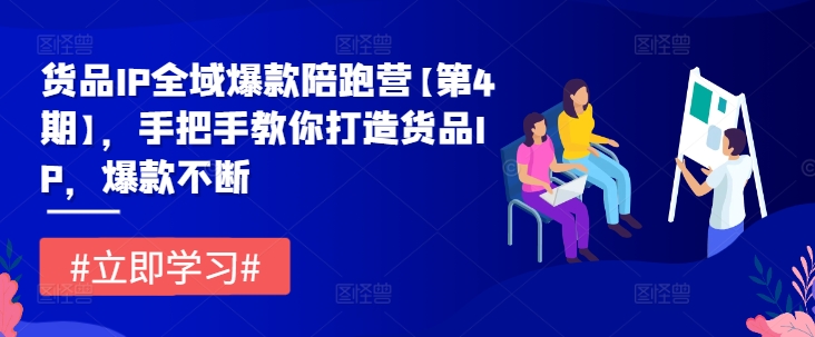 货品IP全域爆款陪跑营【第4期】,手把手教你打造货品IP,爆款不断-第一资源库