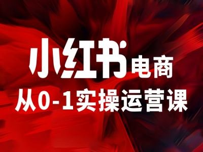 小红书电商从0-1实操运营课,让你从小白到精英-第一资源库