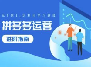 拼多多运营进阶指南,从0到1定制化学习路线-第一资源库