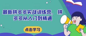 最新拼多多实战训练营， 拼多多从入门到精通-第一资源库