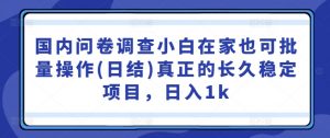 国内问卷调查小白在家也可批量操作(日结)真正的长久稳定项目,日入1k【揭秘】-第一资源库