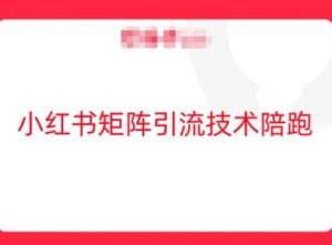 小红书矩阵引流技术,教大家玩转小红书流量-第一资源库
