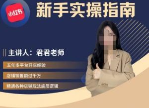君君-小红书电商从入门到精通，新手实操指南-第一资源库