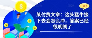 某付费文章：这头猛牛接下去会怎么冲，答案已经很明朗了 !-第一资源库