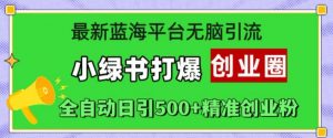 最新蓝海平台无脑引流,小绿书打爆创业圈,全自动日引500+精准创业粉-第一资源库