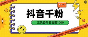 抖音千粉项目，自然涨粉变现，三天起号，日变现1k【揭秘】-第一资源库